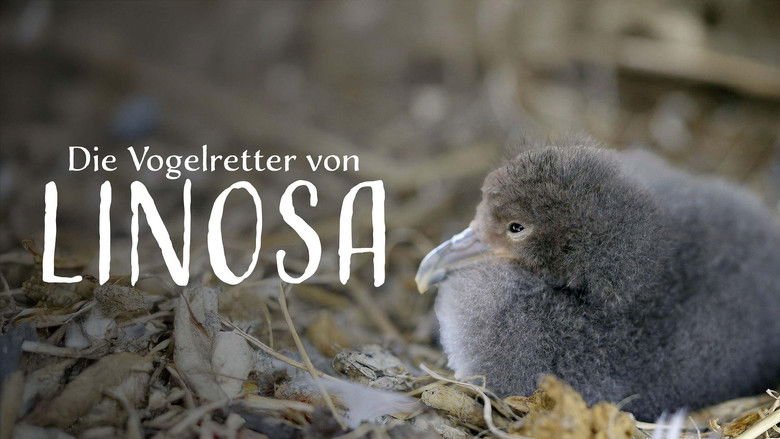 кадр из фильма Die Vogelretter von Linosa
