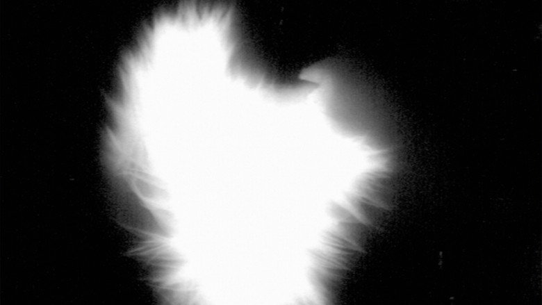 кадр из фильма Not (a) Part