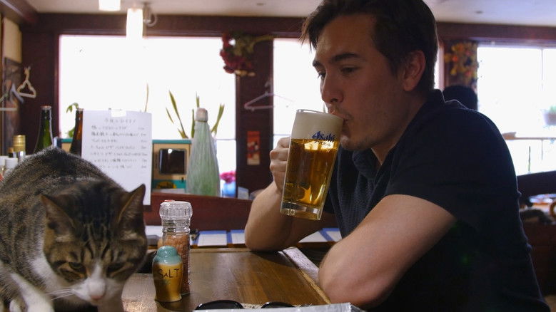 кадр из фильма Страна кошек