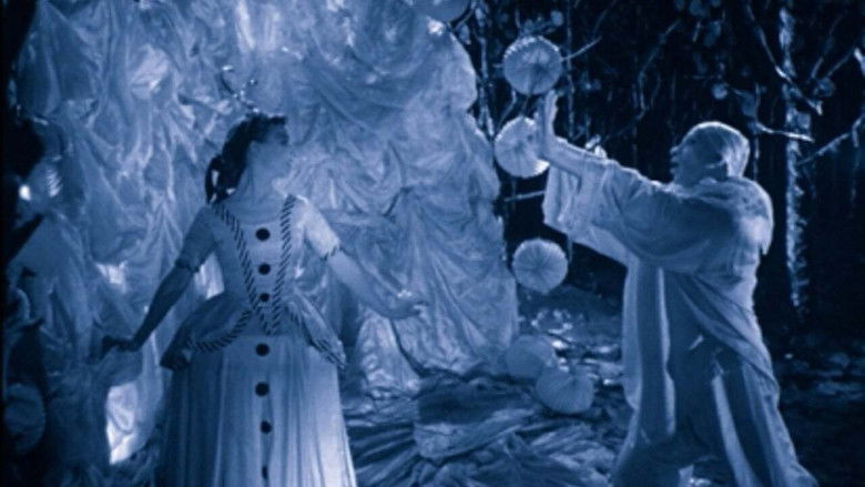 кадр из фильма Rabbit's Moon