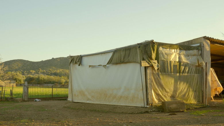 кадр из фильма Ca Nostra