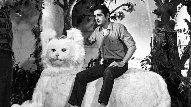 кадр из фильма Jacques Demy, le rose et le noir