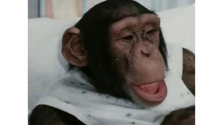 кадр из фильма Украли зебру