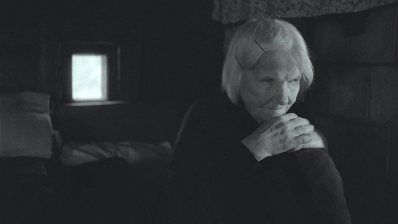 кадр из фильма Neregių žemė