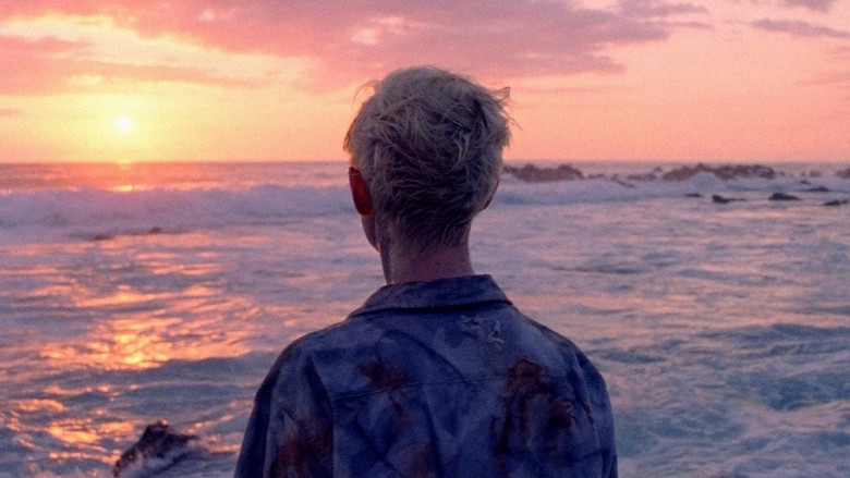 кадр из фильма Дикие мальчишки