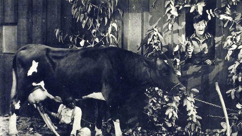 кадр из фильма Moonshine