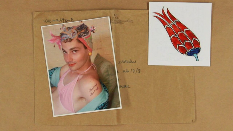 Kırık Beyaz Laleler