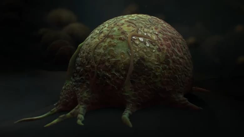 кадр из фильма Mycelium