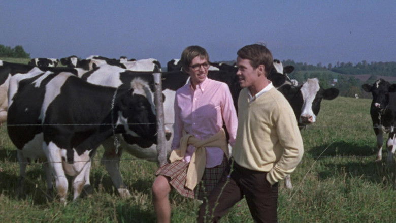 кадр из фильма Бесплодная кукушка