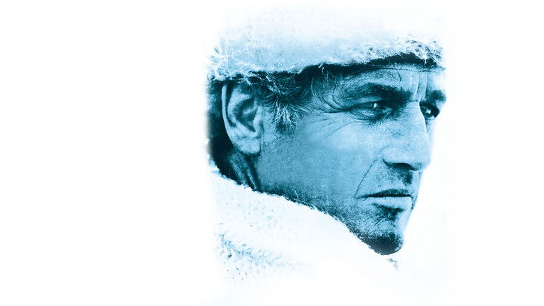 кадр из фильма Квинтет