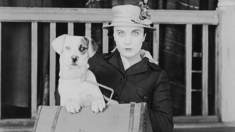 кадр из фильма Собачья жизнь