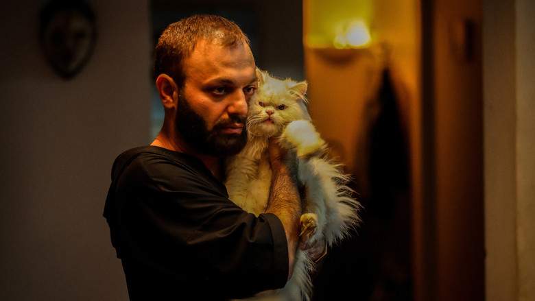 кадр из фильма لاک پشت