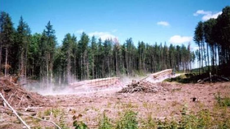 кадр из фильма L'erreur boréale