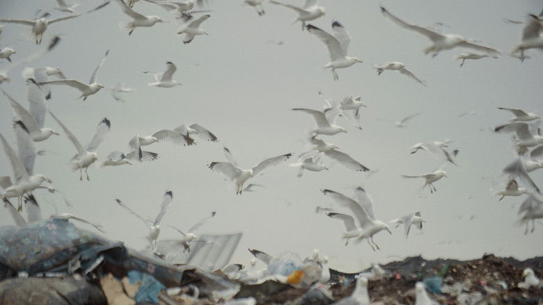 кадр из фильма Les héritiers