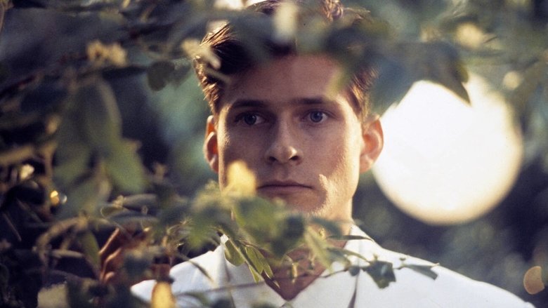 кадр из фильма Дом там, где сердце