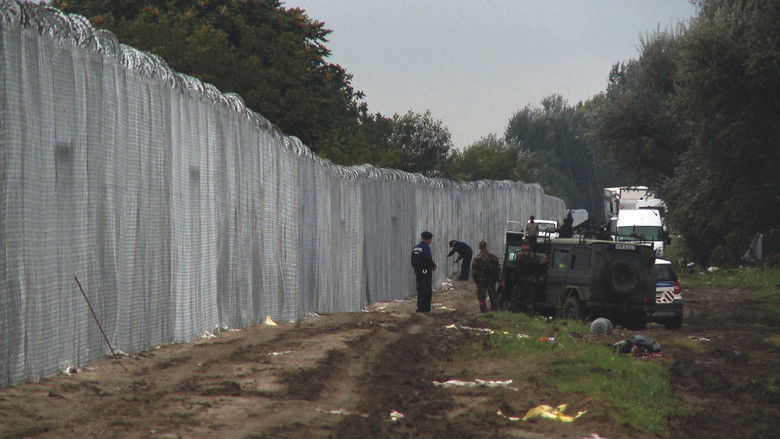 кадр из фильма Last Shelter