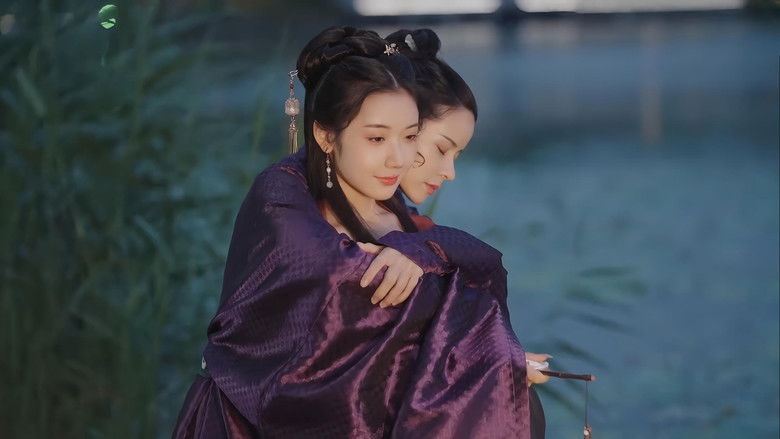 кадр из фильма 九世狸奴的寻找