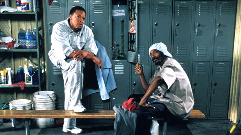 кадр из фильма Мойка