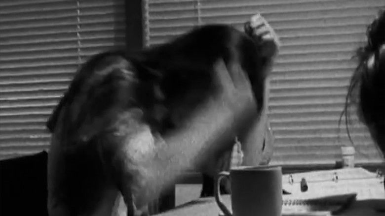 кадр из фильма Emily