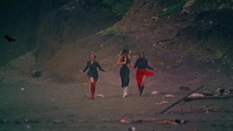 кадр из фильма Fraulein Leather