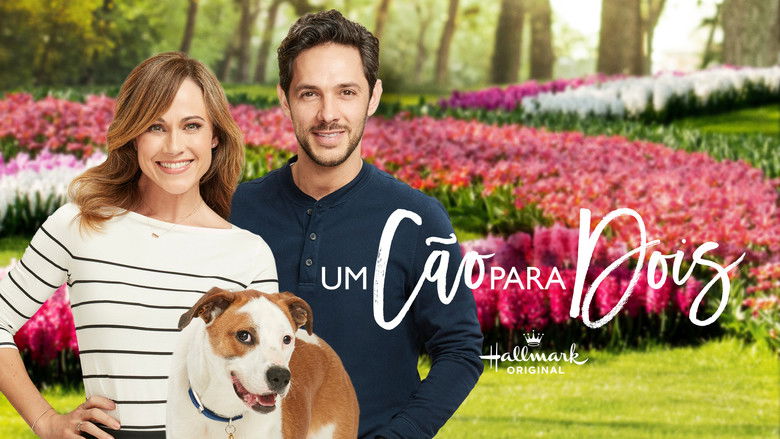 кадр из фильма Спасительная любовь