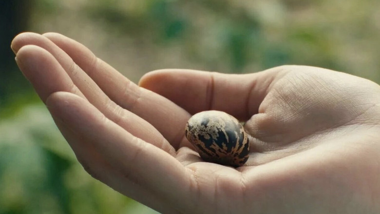 кадр из фильма 上海女儿