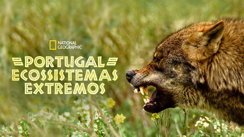 кадр из фильма Дикая Португалия