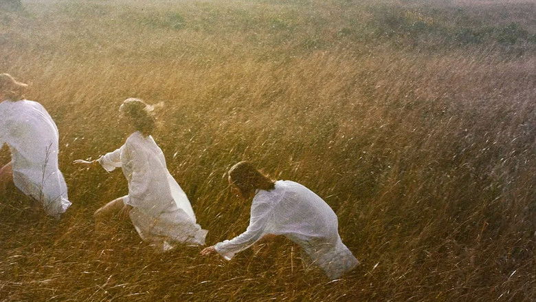 кадр из фильма An Impression of Everything