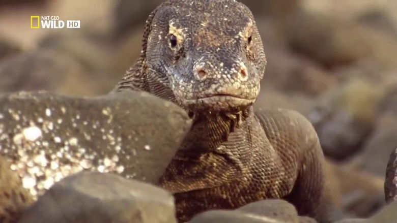 кадр из фильма Venom Islands