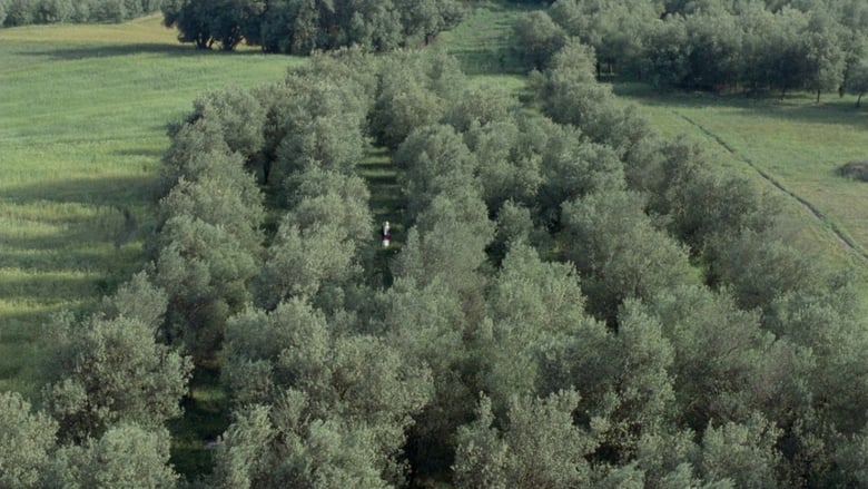 кадр из фильма Сквозь оливы