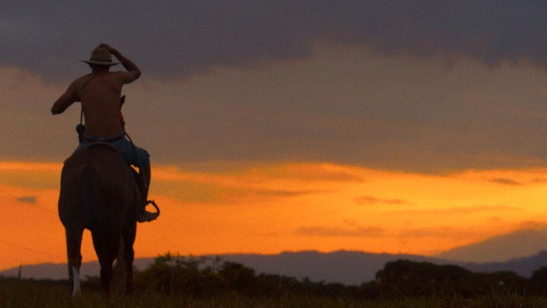 кадр из фильма Semillas