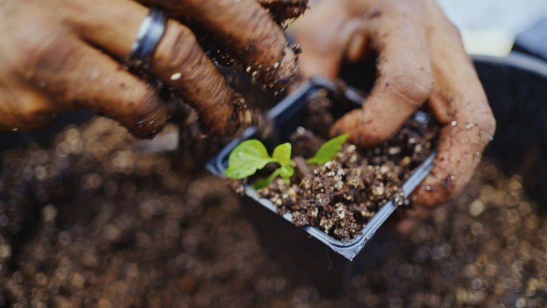 кадр из фильма Grow a Better Dallas