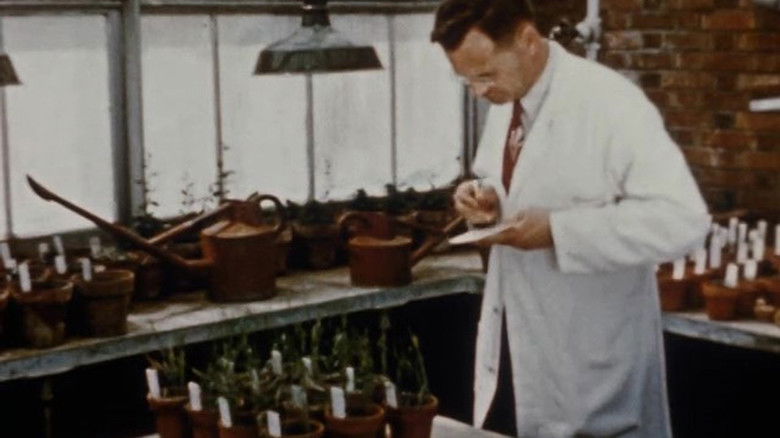 кадр из фильма Man Against a Fungus