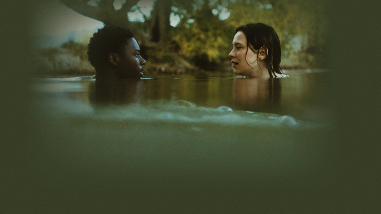 кадр из фильма The Graduates