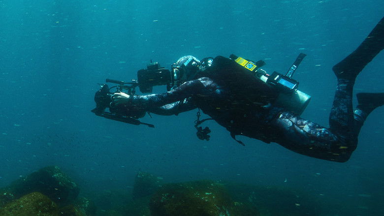 кадр из фильма Лицом к лицу с акулами с Берти Грегори