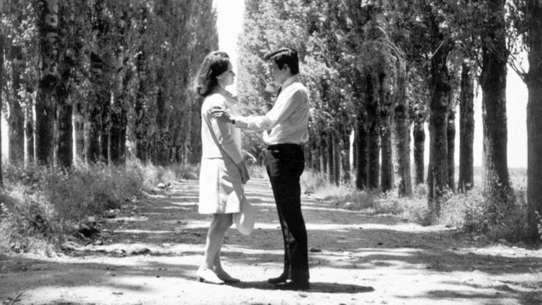 кадр из фильма Παρένθεση