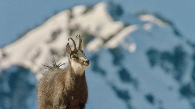кадр из фильма Winter am Alpenrand