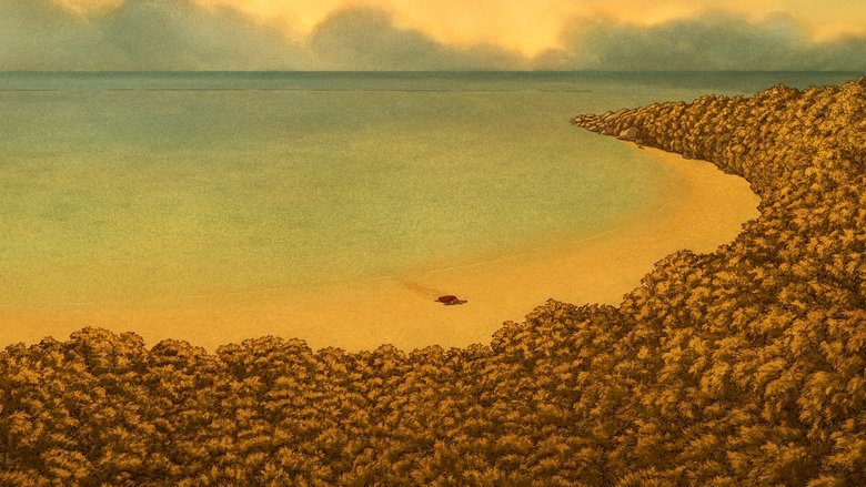 кадр из фильма Красная черепаха