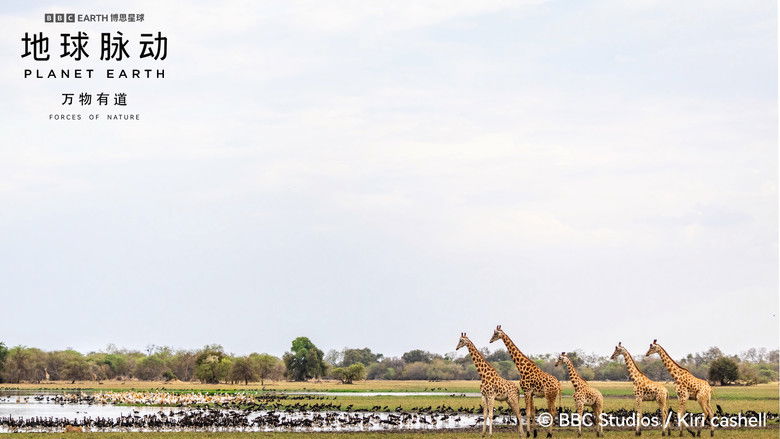 кадр из фильма Planet Earth: Forces of Nature