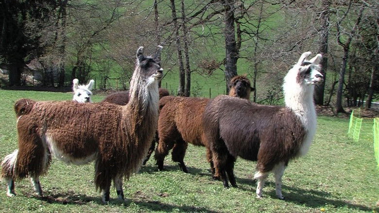 кадр из фильма Anders als die Väter