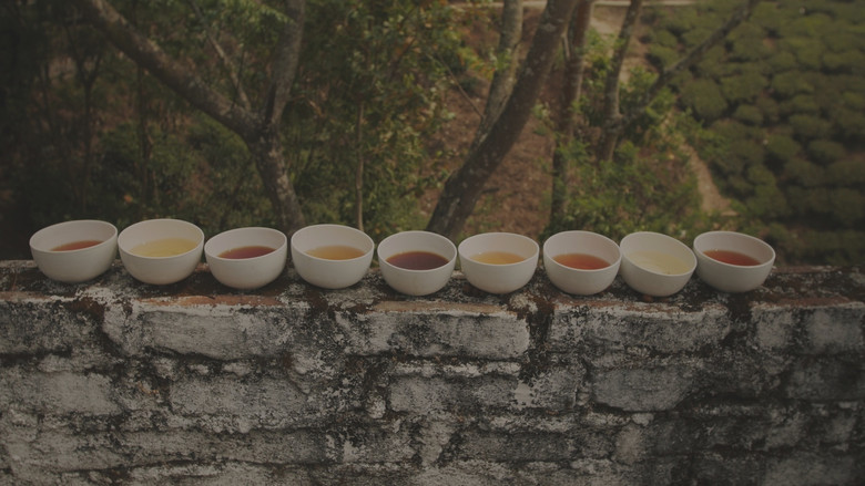 кадр из фильма Les aventures de Robert Fortune ou comment le thé fut vole aux Chinois