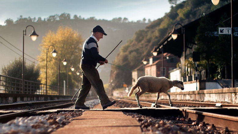 кадр из фильма A Minha Casinha