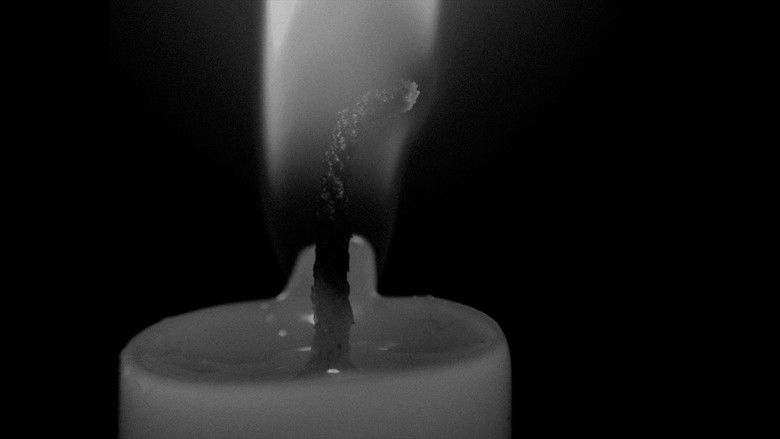 кадр из фильма Devaneio