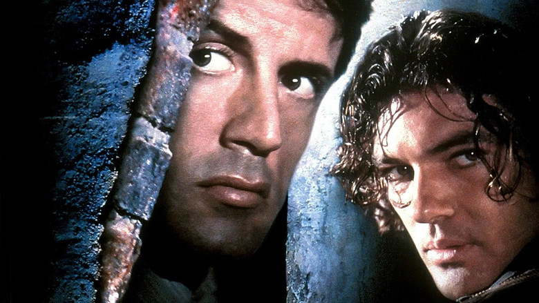 кадр из фильма Наёмные убийцы