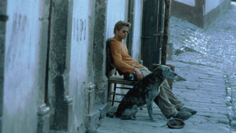 кадр из фильма Мексиканец