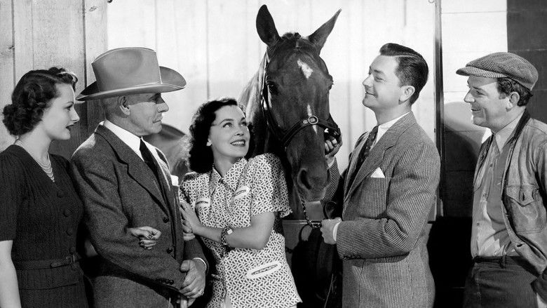 кадр из фильма Sporting Blood