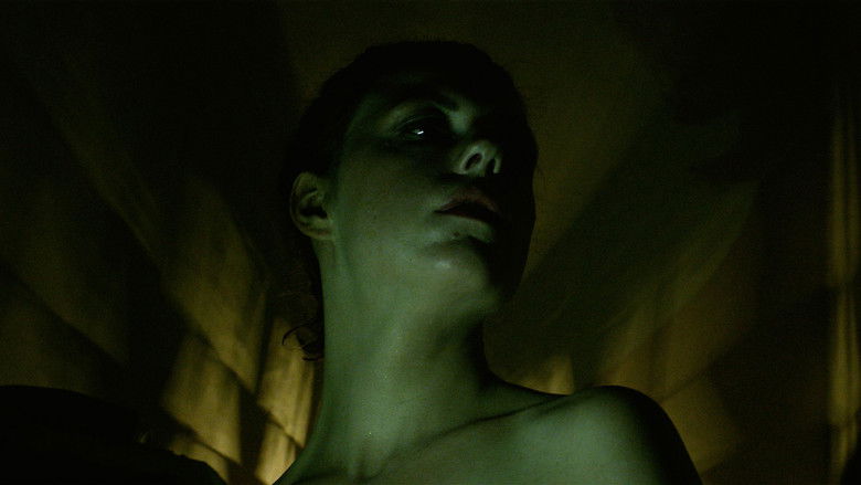 кадр из фильма Animal Kingdom