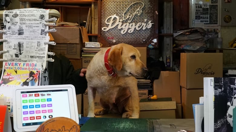 кадр из фильма とんかつDJアゲ太郎