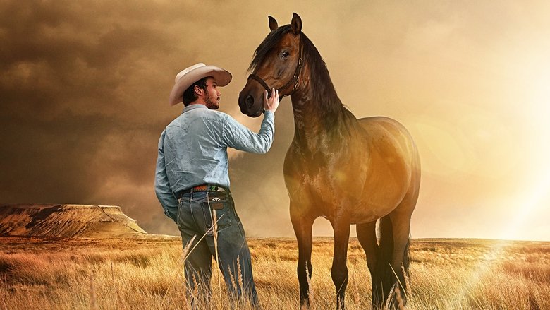 кадр из фильма Наездник