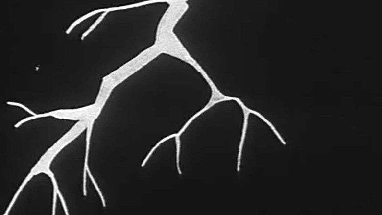 кадр из фильма Boggy Depot